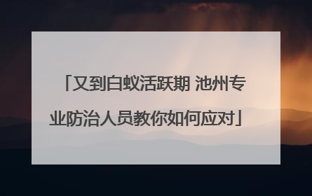 又到白蚁活跃期 池州专业防治人员教你如何应对