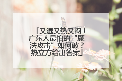 又湿又热又闷！广东人最怕的“魔法攻击”如何破？热立方给出答案
