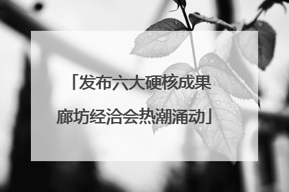 发布六大硬核成果 廊坊经洽会热潮涌动