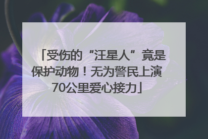 受伤的“汪星人”竟是保护动物！无为警民上演70公里爱心接力