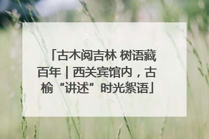 古木阅吉林 树语藏百年｜西关宾馆内，古榆“讲述”时光絮语