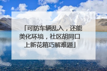 可防车辆乱入，还能美化环境，社区胡同口上新花箱巧解难题