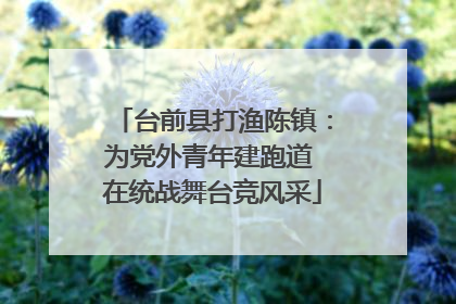台前县打渔陈镇：为党外青年建跑道 在统战舞台竞风采