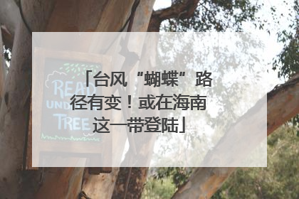 台风“蝴蝶”路径有变！或在海南这一带登陆