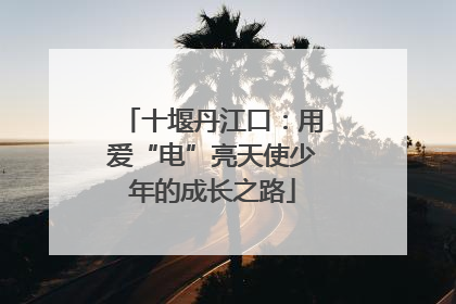 十堰丹江口：用爱“电”亮天使少年的成长之路