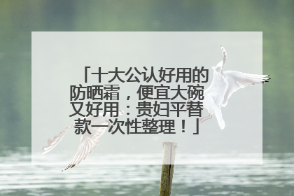 十大公认好用的防晒霜，便宜大碗又好用：贵妇平替款一次性整理！
