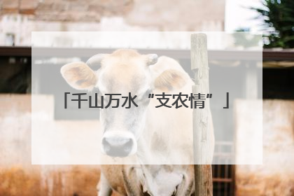 千山万水“支农情”