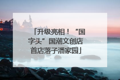 升级亮相！“国字头”国潮文创店首店落子潘家园