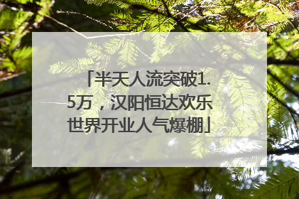 半天人流突破1.5万，汉阳恒达欢乐世界开业人气爆棚