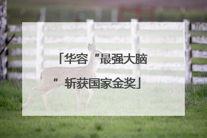 华容“最强大脑”斩获国家金奖