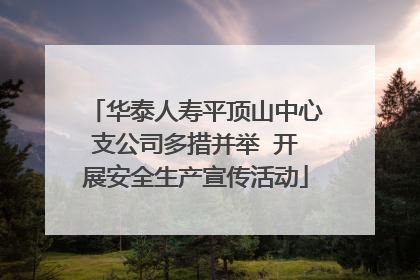 华泰人寿平顶山中心支公司多措并举  开展安全生产宣传活动