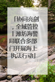 协同亮剑，全域管控丨潍坊海警局联合多部门开展海上执法行动