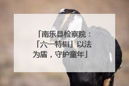 南乐县检察院：「六一特辑」以法为盾，守护童年