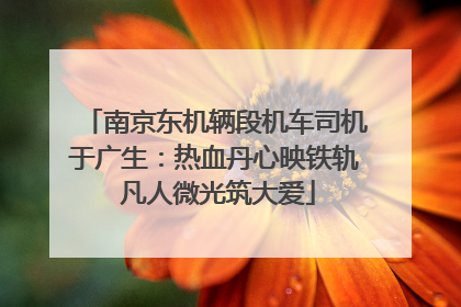 南京东机辆段机车司机于广生：热血丹心映铁轨 凡人微光筑大爱