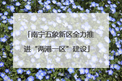 南宁五象新区全力推进“两港一区”建设