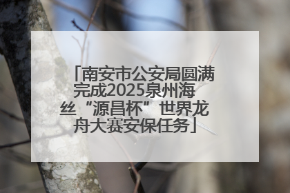 南安市公安局圆满完成2025泉州海丝“源昌杯”世界龙舟大赛安保任务