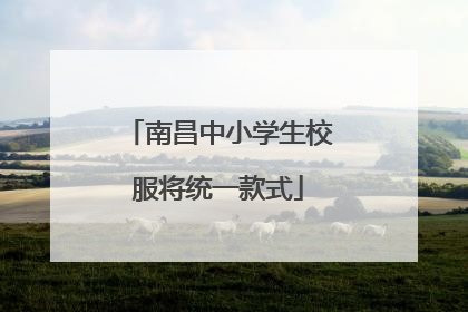 南昌中小学生校服将统一款式