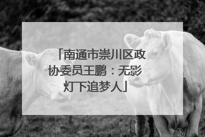 南通市崇川区政协委员王鹏：无影灯下追梦人
