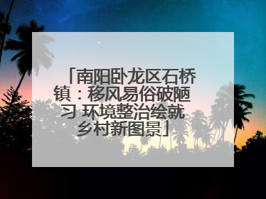 南阳卧龙区石桥镇：移风易俗破陋习 环境整治绘就乡村新图景