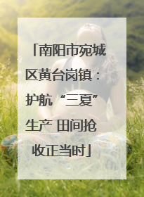 南阳市宛城区黄台岗镇：护航“三夏”生产 田间抢收正当时