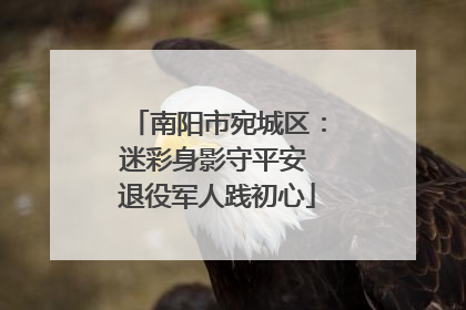 南阳市宛城区：迷彩身影守平安 退役军人践初心