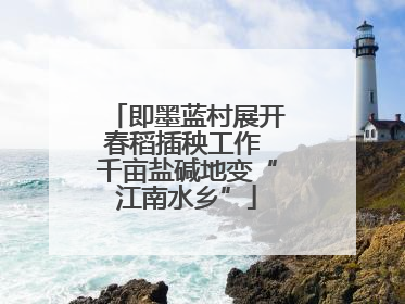 即墨蓝村展开春稻插秧工作 千亩盐碱地变“江南水乡”