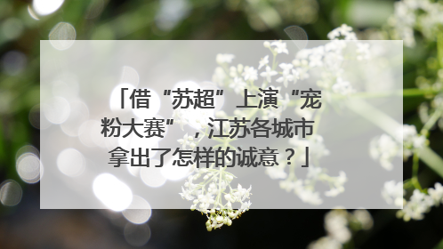 借“苏超”上演“宠粉大赛”，江苏各城市拿出了怎样的诚意？