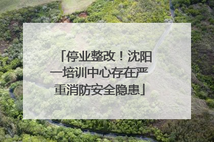 停业整改！沈阳一培训中心存在严重消防安全隐患