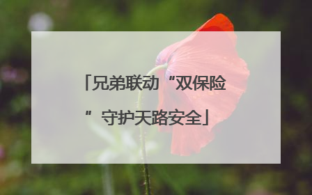 兄弟联动“双保险”守护天路安全
