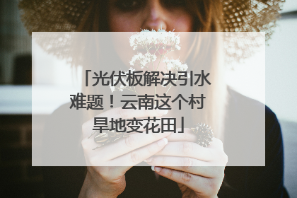 光伏板解决引水难题！云南这个村旱地变花田
