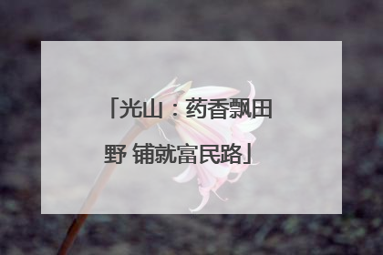 光山：药香飘田野 铺就富民路