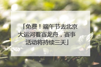 免费！端午节去北京大运河看赛龙舟，赛事活动将持续三天