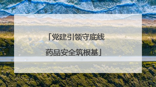 党建引领守底线 药品安全筑根基