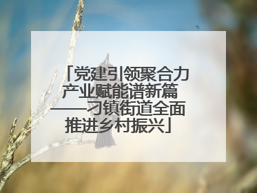 党建引领聚合力 产业赋能谱新篇——刁镇街道全面推进乡村振兴