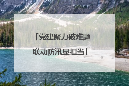 党建聚力破难题 联动防汛显担当