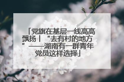 党旗在基层一线高高飘扬丨“去有村的地方”——湖南有一群青年党员这样选择