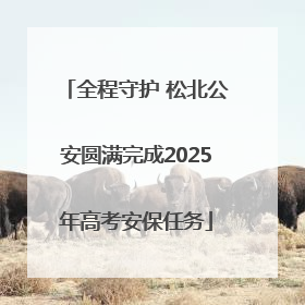 全程守护 松北公安圆满完成2025年高考安保任务