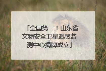全国第一！山东省文物安全卫星遥感监测中心揭牌成立