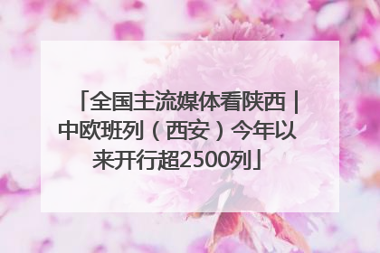 全国主流媒体看陕西｜中欧班列（西安）今年以来开行超2500列