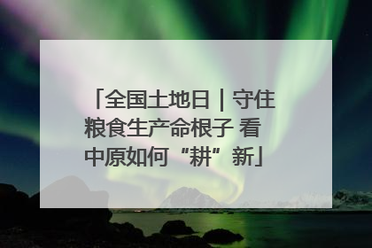 全国土地日｜守住粮食生产命根子 看中原如何“耕”新