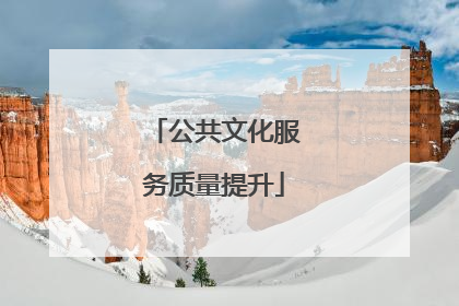 公共文化服务质量提升