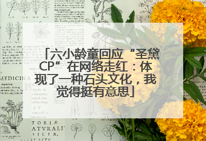 六小龄童回应“圣黛CP”在网络走红：体现了一种石头文化，我觉得挺有意思
