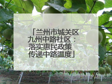 兰州市城关区九州中路社区：落实惠民政策 传递中路温度