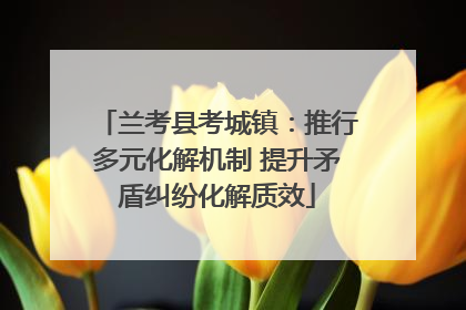 兰考县考城镇：推行多元化解机制 提升矛盾纠纷化解质效