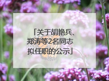 关于胡艳兵、郑涛等2名同志拟任职的公示
