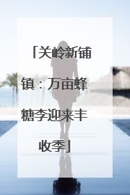 关岭新铺镇：万亩蜂糖李迎来丰收季