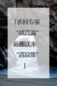农科专家“战高温” 菇棚送来“清凉策”