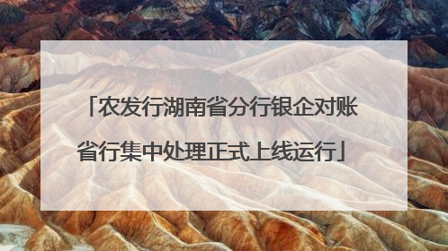 农发行湖南省分行银企对账省行集中处理正式上线运行