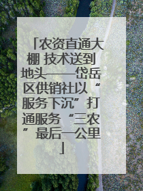 农资直通大棚 技术送到地头——岱岳区供销社以“服务下沉”打通服务“三农”最后一公里
