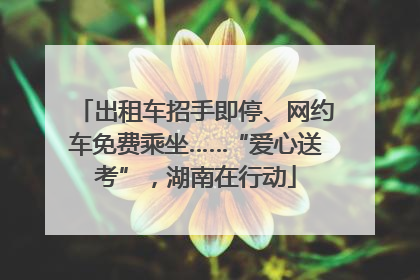 出租车招手即停、网约车免费乘坐……“爱心送考”，湖南在行动